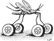A Mosquito Free Ride, Cholesterol-Free Butter and Handling Hazardous Household Products